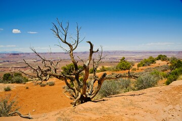 Canyonlands National Park in southeastern Utah, a dramatic desert landscape carved by the Colorado River. 