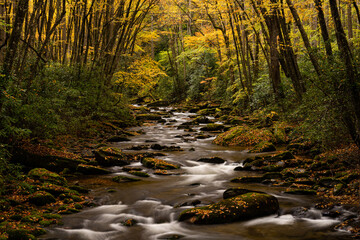 Wall Mural - Water Swirling Around Rocks In Straight Fork