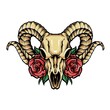© InksyndromeArtwork - ram head skull with roses vector