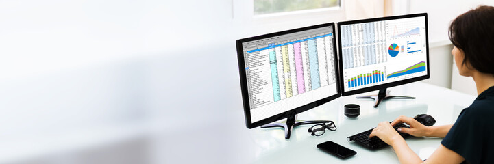 Poster - Analyst Employee Working With Spreadsheet