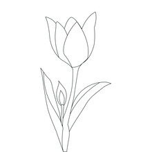 Line Art Design For Kids Colouring Book Of Flower Vector Illustration Coloring Page