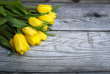 Fresh Yellow Tulips On Wooden Background. Beautiful Blank Card For Easter, March 8, Valentines Day, Mothers Day. 