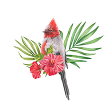 Tropical Red Bird With Hibiscus Flower And Palm Leaves In Watercolor. The Illustration Is Highlighted On A White Background. Spring Or Summer Flower For Wedding Invitations, Postcards, Design