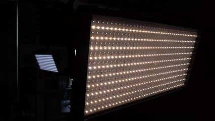 Wall Mural - led studio lights. 4k video.