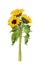 Three Yellow Sunflowers In A Summer Bouquet Isolated