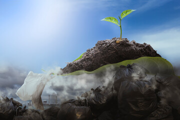 Young seedlings on the pollution waste pile. environmental problem concept