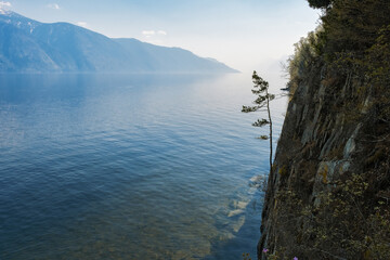 View Lake Teletskoye, Altai Republic, Siberia, Russia. Panoramic landscape, nature environment scenery, blue water of lake, hills. Lonely tree on rock. Tourist destination