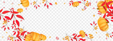Orange Leaf Background Transparent Vector. Yellow Graphic Border. Gold Pumpkin Vibrant Template. Leaves Foliage. Decorative Set.