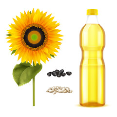 Poster - Sunflower Oil Realistic Set