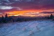 sunrise in the forest, sunrise, mountain, winter, snow, landskape, krajobraz, forest, snow, wschódsłońca