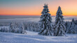 sunrise in the forest, sunrise, mountain, winter, snow, landskape, krajobraz, forest, snow, zachódsłońca