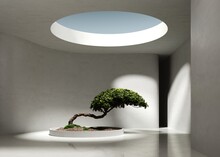 3d Render Of A White Empty Large Space With A Bonsai Podium On A Concrete Floor And A Round Central Hole In The Ceiling