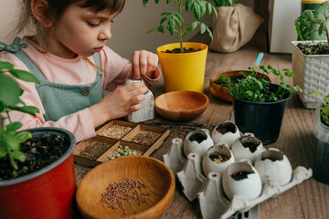 Sticker - Close up of little girl planting seeds in a eggshells