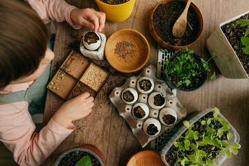 Wall Mural - Close up of little girl planting seeds in a eggshells