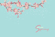 Spring blossom abstract banner