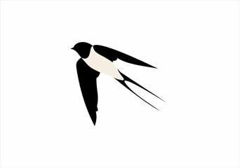 Poster - Swallow logo. Isolated swallow on background. Vector illustration