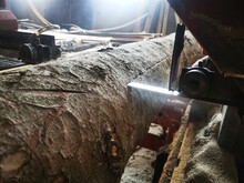 Wooden Industry - Sawmill Factory . Process Of Machining Logs In Equipment Sawmill Machine Saw Saws The Tree Trunk On The Plank Boards