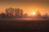 Fototapeta  - Złoty wschód słońca nad łąką
