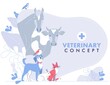 Veterinary concept with group livestock animals and domestic pets in vet clinic.