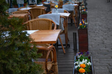 Furniture For Street Restaurants. Hedge Of Living Plants Close-up
