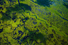 Aerial View Of Green Wetlands And Flowing Water In Everglades National Park