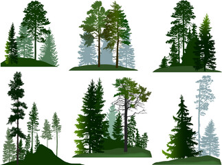 Wall Mural - green trees six groups set isolated on white