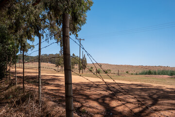 Wall Mural - Farm in South Africa