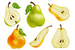 Set of watercolor ripe pears.  Summer fruit illustration.