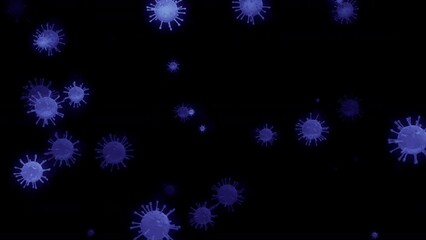 Wall Mural - Virus cells seen by electron microscope. Scientific background blue seamless loop, HD UHD 4k 4096x2304