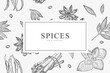 Card with different spices. Vintage vector illustration.
