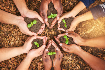 Poster - Something good has sprung up. Cropped shot of a group of people holding plants growing out of soil.