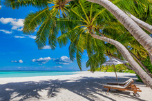 Beautiful Tropical Island Nature, Two Sun Beds, Loungers, Umbrella Under Palm Tree Leaves. White Sand, Sea View Horizon, Idyllic Blue Sky, Calm Relax Vacation. Amazing Beach Resort, Coast Landscape