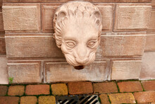 The Design Of The Drain On The Facade Of The Building In The Shape Of A Lion's Head.