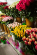 Many different colors on the stand table in the flower shop. Showcase. Background of mix of flowers. Beautiful flowers for catalog or online store. Floral shop and delivery concept.