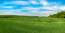 Picturesque Landscape Of Spring Green Field With Blue Sky? Panoramic