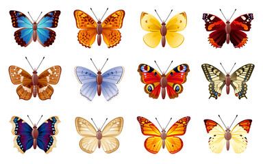 Butterfly vector set. Insect illustration. Isolated butterfly animal. Yellow monarch, blue morpho, peacock eye, swallowtail. Art design. Realistic spring collection, white background. Tropical summer