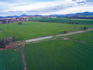 Wall Mural - farmland view