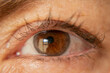 macro de ojo color café, pestañas, iris, iridología, colores cafés de ojo, pequeñas venas rojas en el ojo   