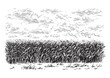 field hand drawing sketch engraving illustration style