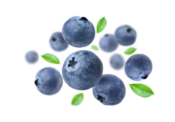 Wall Mural - blueberries with leaves levitate isolated on a white background.