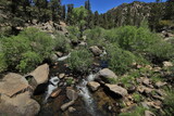 Fototapeta Natura - Beautiful Scenery in Sierra, Central California