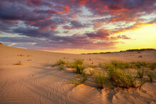 Beautiful Desert Landscape During Golden Hour