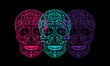 © ralelav - Skull vector background for fashion design, patterns, tattoos, day of the dead