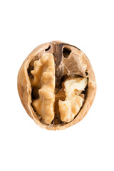 Walnut in a shell isolated