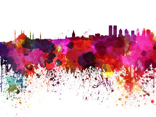 Wall Mural - Istanbul skyline in  watercolor