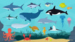 Vector set of ocean animals and fish. Underwater world. Shark, dolphin, narwhal, blue whale, octopus, sperm whale, swordfish, killer whale.