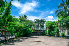 Tropical Garden With Shady Trees