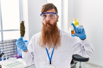 Wall Mural - Redhead man with long beard working at scientist laboratory holding weed and cbd oil making fish face with mouth and squinting eyes, crazy and comical.