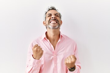 Canvas Print - Middle age hispanic man standing over isolated background very happy and excited doing winner gesture with arms raised, smiling and screaming for success. celebration concept.