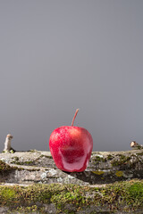 Una deliciosa manzana roja sobre troncos de árbol con musgo. Espacio para copiar